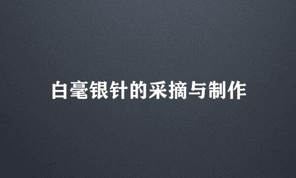白毫银针的采摘与制作