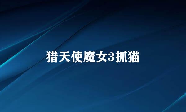 猎天使魔女3抓猫