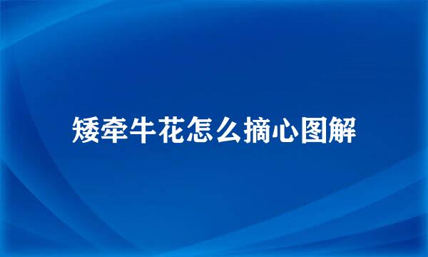 矮牵牛花怎么摘心图解
