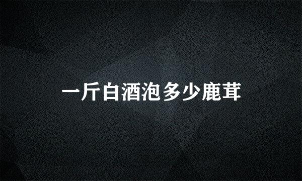 一斤白酒泡多少鹿茸