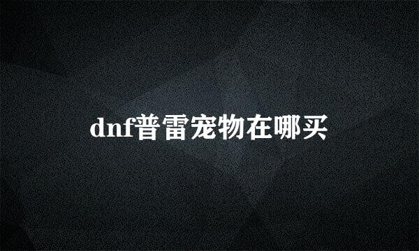 dnf普雷宠物在哪买