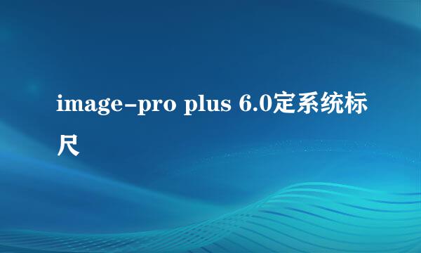 image-pro plus 6.0定系统标尺