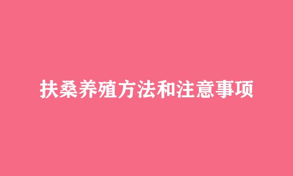 扶桑养殖方法和注意事项
