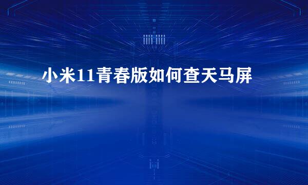 小米11青春版如何查天马屏