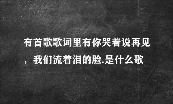 有首歌歌词里有你哭着说再见，我们流着泪的脸.是什么歌