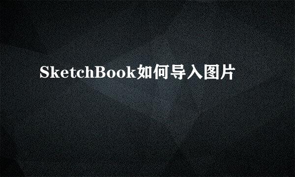 SketchBook如何导入图片