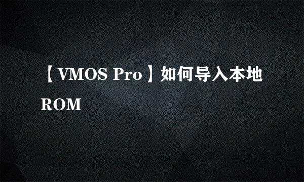 【VMOS Pro】如何导入本地ROM