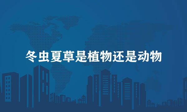 冬虫夏草是植物还是动物