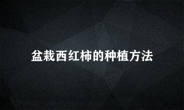 盆栽西红柿的种植方法
