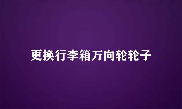 更换行李箱万向轮轮子