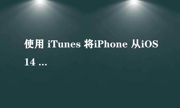 使用 iTunes 将iPhone 从iOS14 降级到iOS13