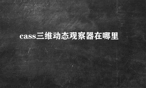 cass三维动态观察器在哪里