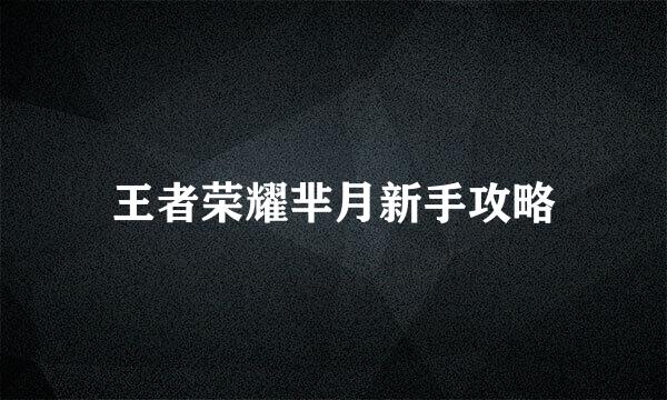 王者荣耀芈月新手攻略