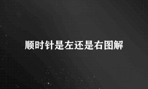 顺时针是左还是右图解