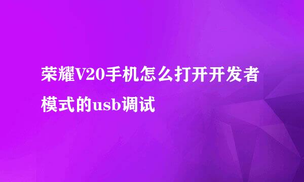荣耀V20手机怎么打开开发者模式的usb调试