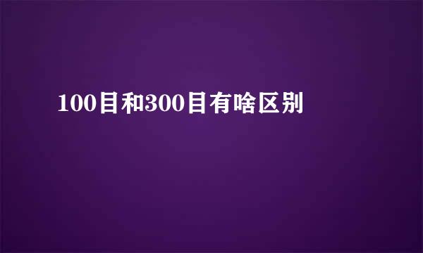 100目和300目有啥区别
