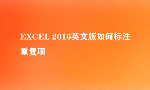 EXCEL 2016英文版如何标注重复项
