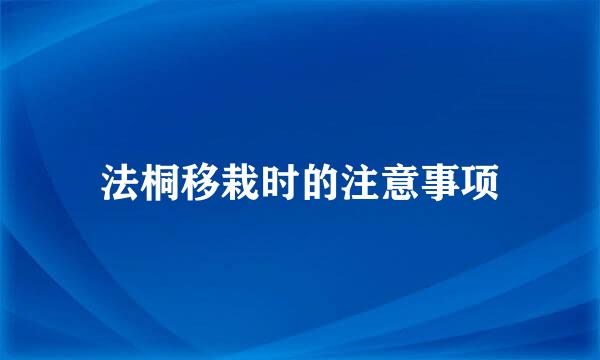 法桐移栽时的注意事项