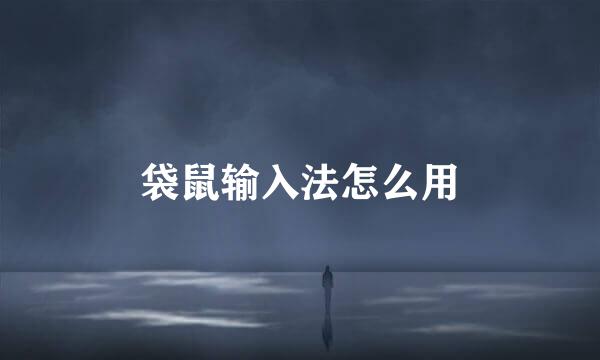 袋鼠输入法怎么用