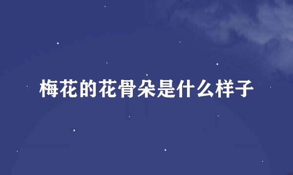 梅花的花骨朵是什么样子