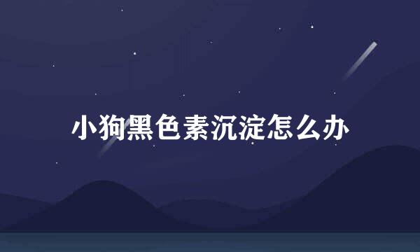 小狗黑色素沉淀怎么办