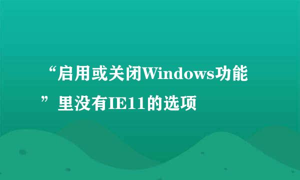“启用或关闭Windows功能”里没有IE11的选项