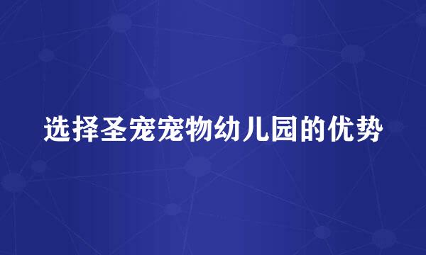 选择圣宠宠物幼儿园的优势
