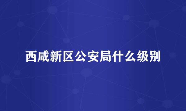 西咸新区公安局什么级别