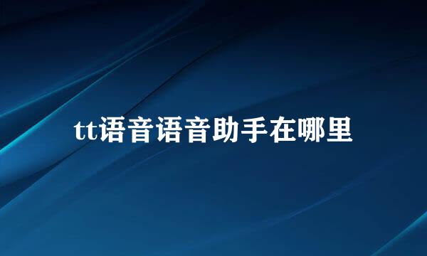 tt语音语音助手在哪里