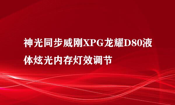 神光同步威刚XPG龙耀D80液体炫光内存灯效调节