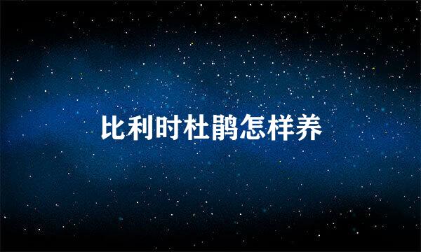 比利时杜鹃怎样养