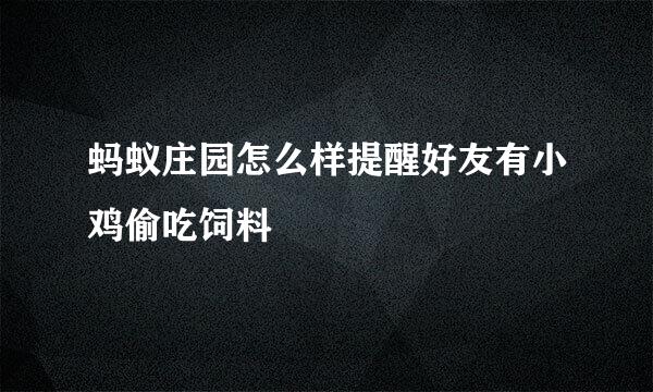 蚂蚁庄园怎么样提醒好友有小鸡偷吃饲料