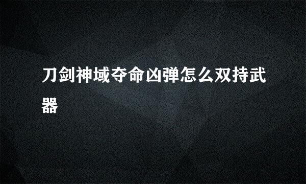 刀剑神域夺命凶弹怎么双持武器
