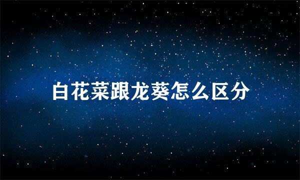 白花菜跟龙葵怎么区分