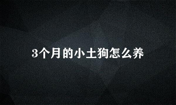 3个月的小土狗怎么养