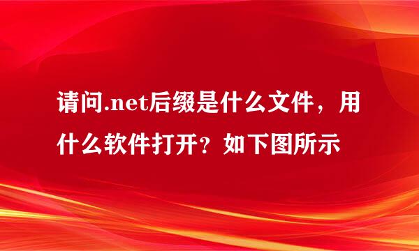 请问.net后缀是什么文件，用什么软件打开？如下图所示