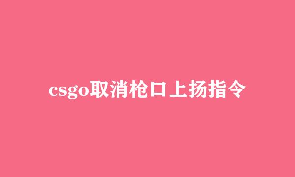 csgo取消枪口上扬指令