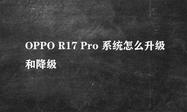 OPPO R17 Pro 系统怎么升级和降级