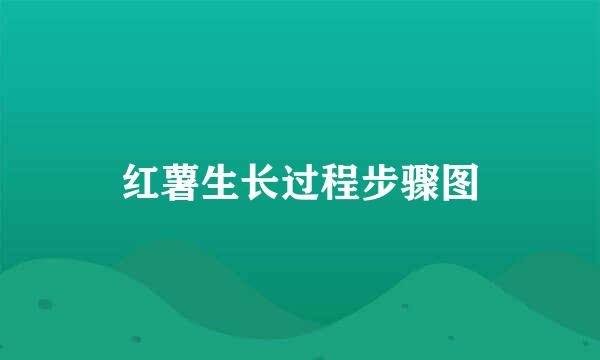 红薯生长过程步骤图