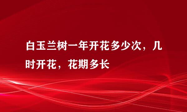 白玉兰树一年开花多少次，几时开花，花期多长
