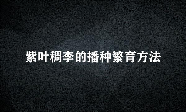 紫叶稠李的播种繁育方法