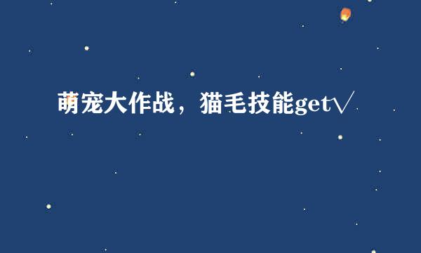 萌宠大作战，猫毛技能get√