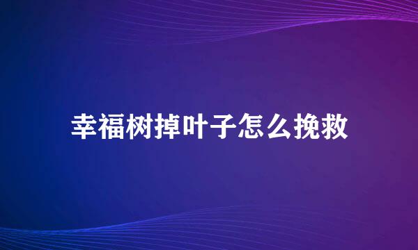 幸福树掉叶子怎么挽救