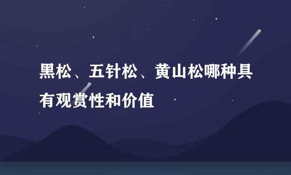 黑松、五针松、黄山松哪种具有观赏性和价值