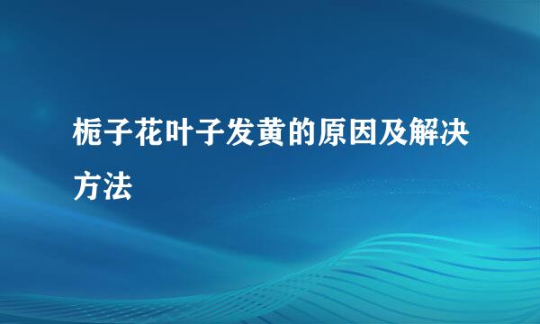 栀子花叶子发黄的原因及解决方法