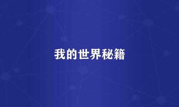 我的世界秘籍