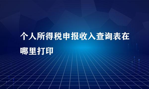 个人所得税申报收入查询表在哪里打印