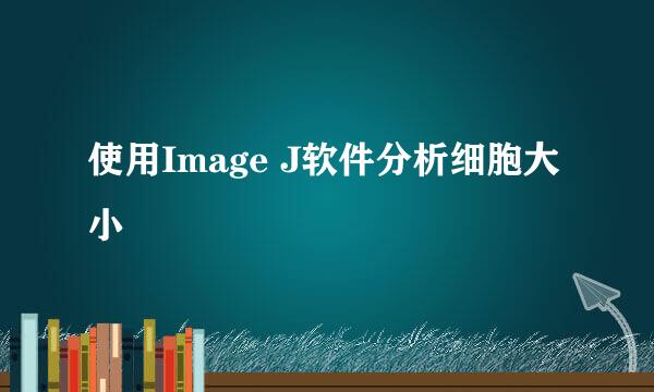 使用Image J软件分析细胞大小