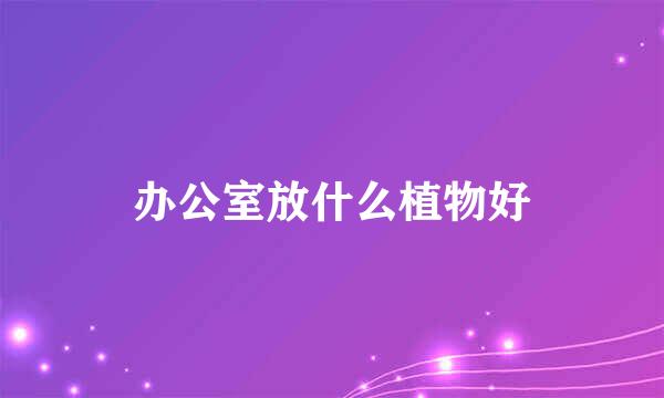 办公室放什么植物好