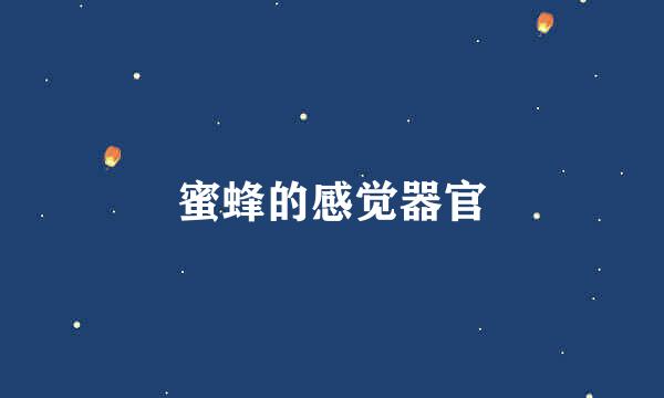 蜜蜂的感觉器官